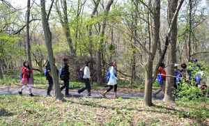 Children_walking_forest